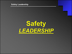 Safety Leadership